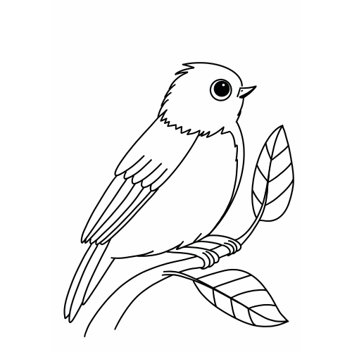 Colouring Picture - Bird