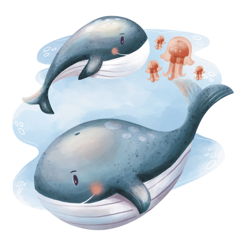 Sample – Whale